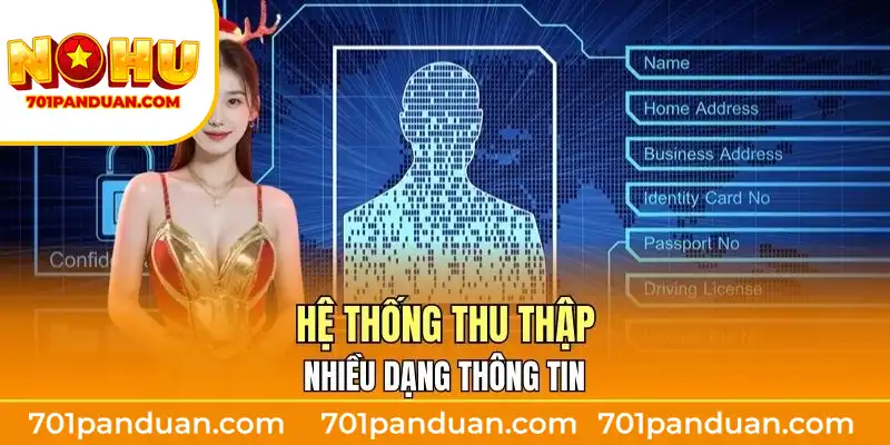 Hệ thống thu thập nhiều dạng thông tin