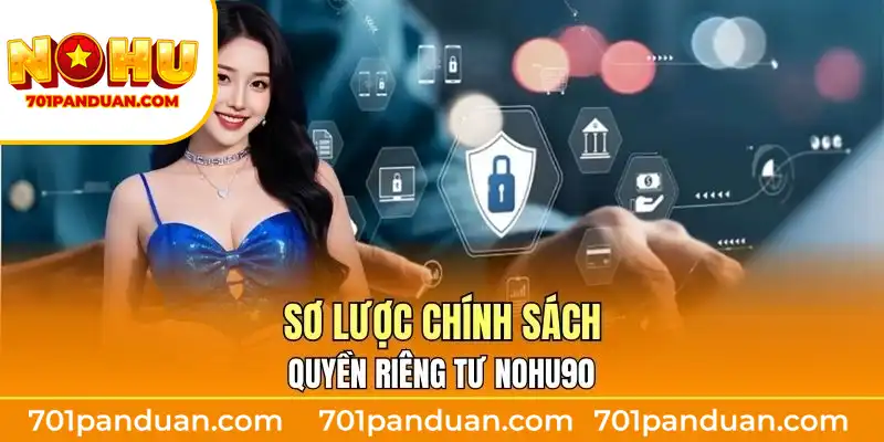 Sơ lược chính sách quyền riêng tư Nohu90